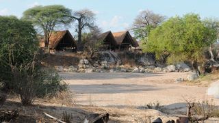 Mwagusi Safari Camp | Accommodation Ruaha National Park