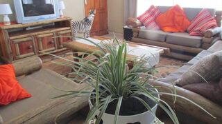 Safari Kruger Cottages | Hazyview Accommodation