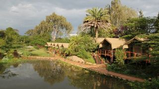 Wildebeest Eco Camp | Accommodation Kuwinda