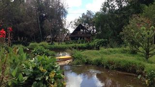 Timau River Lodge | Timau Accommodation