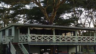 Sanctuary Farm House | Accommodation Naivasha