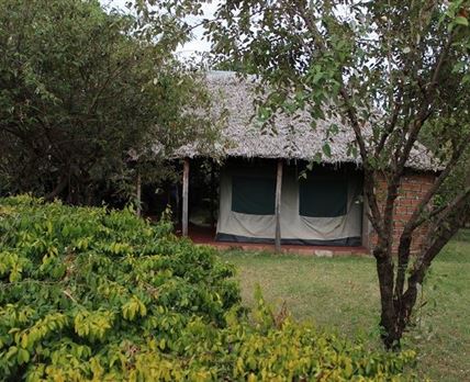 Miti Mingi Eco Camp