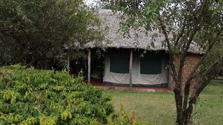 Miti Mingi Eco Camp | Accommodation Maasai Mara National Reserve