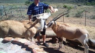 @R62 Langklip Estate | South Africa Specials