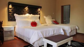 Airport Bed and Breakfast | Accommodation Rand