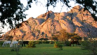 Savanna Guest Farm | Accommodation Grunau