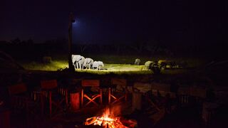 Khulu Bush Camp | Accommodation Deka