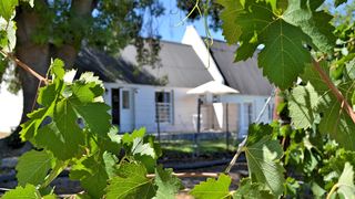 De Kombuys Estate | Route 62 Specials