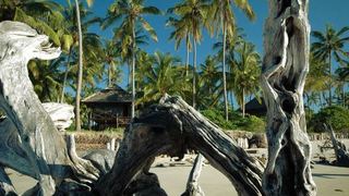 Tent With a View | Accommodation Saadani National Park