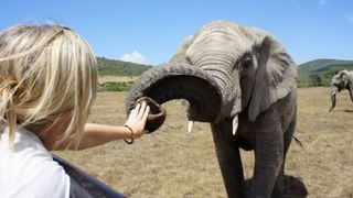 Umkhondo Big 5 & Wildlife | Albertinia Accommodation