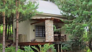 Pinella Cottage | Self-catering Magoebaskloof
