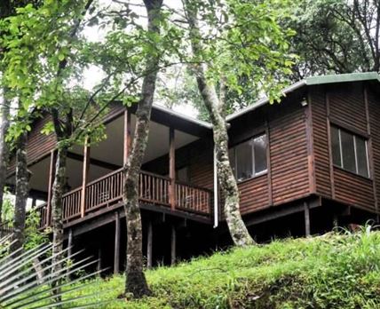 Forest Bird Lodge