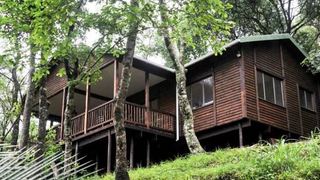 Forest Bird Lodge | Self-catering Magoebaskloof