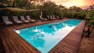 Royal Thonga Safari Lodge | Tembe Elephant Park Accommodation