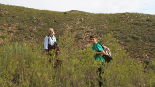 Olive Garden Country Lodge | Robertson Accommodation