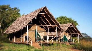 Ikoma Wild Camp & Cottages | Accommodation Serengeti National Park