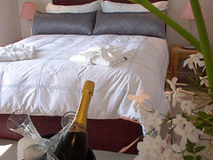 Mana | Stellenbosch Accommodation