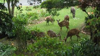 Glen House Self catering Knysna Unit A | Knysna Specials