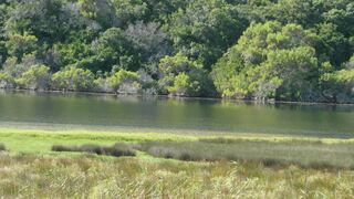 The Tree House | The Island (Sedgefield) Self-catering