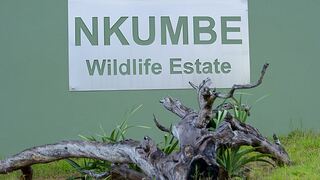 Nkumbe Wildlife Estate | Accommodation Ponta Malongane