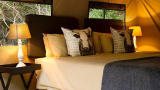 Nkumbe Wildlife Estate | Ponta Malongane Accommodation