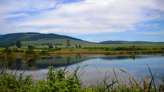iNsingizi Game Lodge & Spa | Mid Illovo Lodges