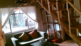 Bingelela B & B | Bergville Accommodation