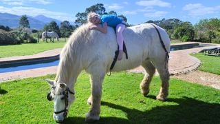 Outeniqua Moon Stud and Guest Farm | Ruiterbos Self-catering
