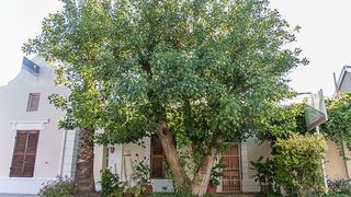 Birds Nest Guest Cottages | Beaufort West Self-catering