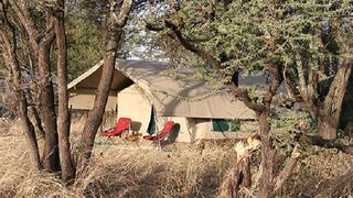 Serengeti North Wilderness Camp | Accommodation Serengeti National Park