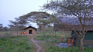 Wildlands Camp | Serengeti National Park Accommodation