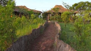 Ngorongoro Forest Tented Lodge | Ngorongoro Crater Conservancy Lodges