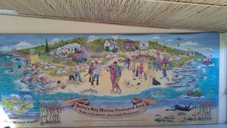 The Beach House | Bettys Bay Accommodation