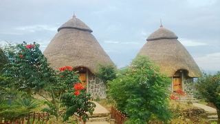 Paradise Lodge | Awasa Lodges