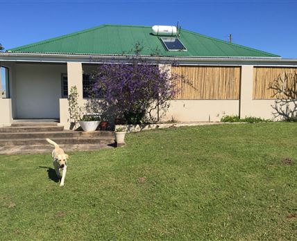 Lone Tree Guest Farm
