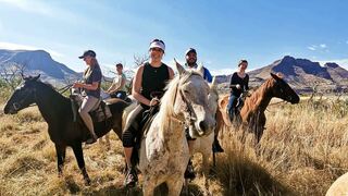 Mosamane Guest Farm | Accommodation Senekal