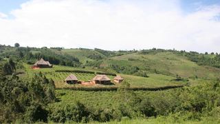 Mufindi Farm Lodge | Lodges Iringa