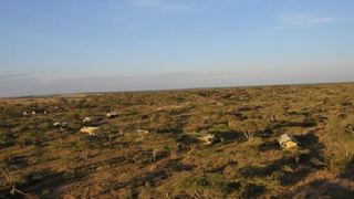 Nasikia Mobile Camp | Accommodation Ngorongoro Crater Conservancy