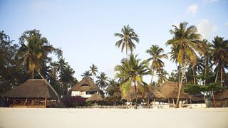 Blu Marlin Village | Kiwengwa Accommodation