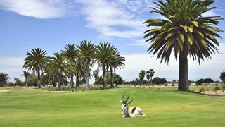 Molensicht No 8 | Accommodation Palm Beach (Swakopmund)