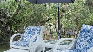 De Bruine Huis | World Specials