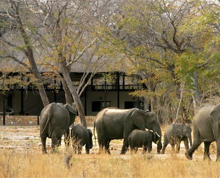 Gwango Elephant Lodge