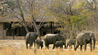 Gwango Elephant Lodge | Hwange Accommodation