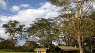 Porini Bush Camp | Accommodation Maasai Mara