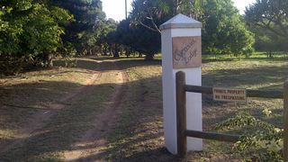 Cycasia Lodge | KwaZulu-Natal Specials