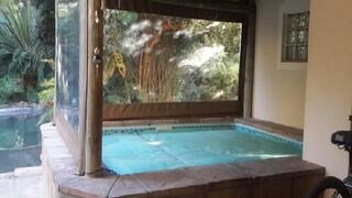 Cycads Self-catering 6 | Onrus Accommodation