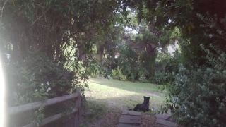 Cycads Self-catering 3 | Accommodation Onrus