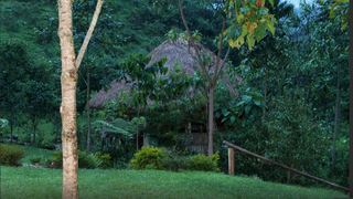 Nshongi Camp | Bwindi Impenetrable National Park Accommodation