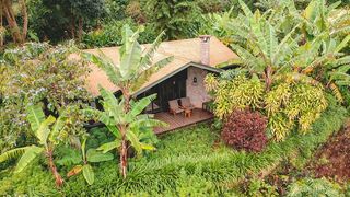 Gibb's Farm | Lodges Karatu