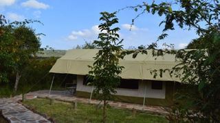 Olkeri Mara Safari Camp | Accommodation Maasai Mara National Reserve